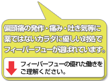 辛い偏頭痛(片頭痛)の痛みの緩和に、フィーバーフューが喜ばれてます。(副作用の心配なし)