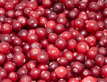 �N�����x���[