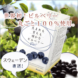 �u���[�x���[�T�v�������g