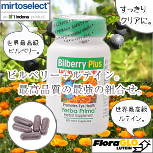 �r���x���[�T�v�������g