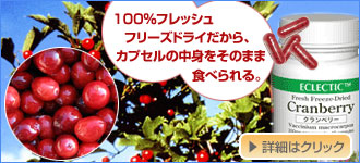 �N�����x���[�T�v�������g